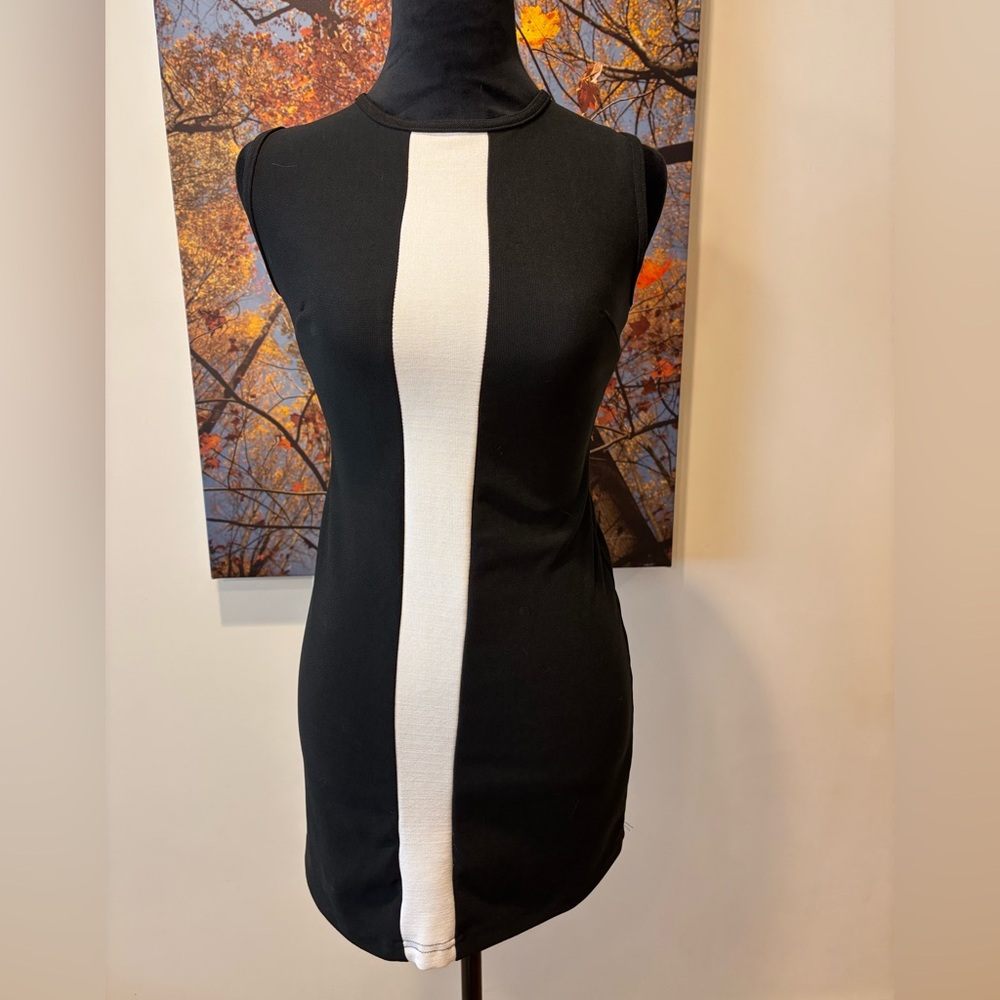 Black and White Sheath Mini Dress with Mock Neck